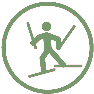Iniciación patinador